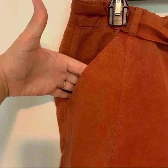 Eileen Fisher Cropped Burnt Orange Earthy Pull On Tie Waist Pants Size Medium - Picture 4 of 12